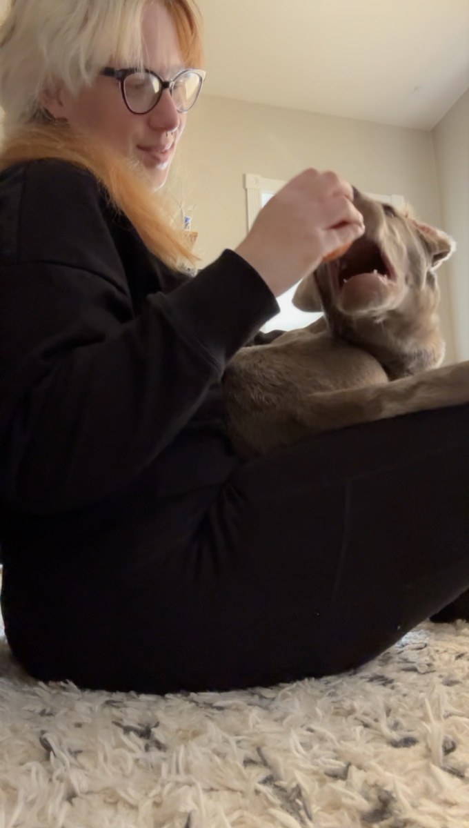 Red Morris sharing a quiet moment with a gray dog