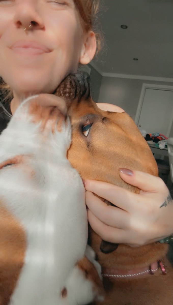 Red Morris cuddling two dogs at home